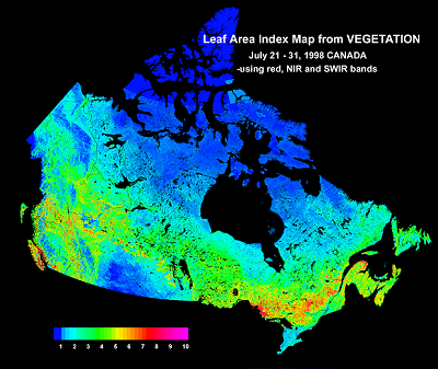 Leaf index map